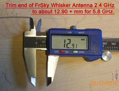 5.8 GHz Whisker Antenna