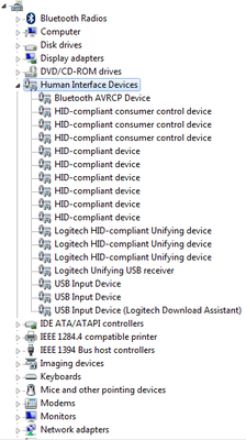 USBISP Device Manager.png