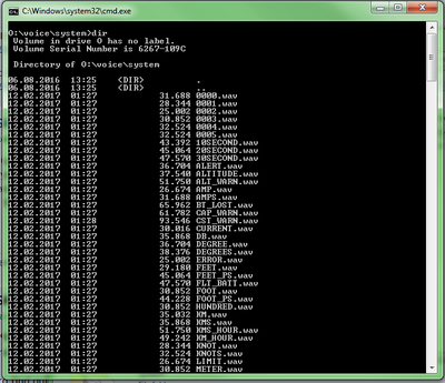 Voice_System_Dir Command.png